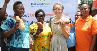 HarvestPlus biofortified food crops