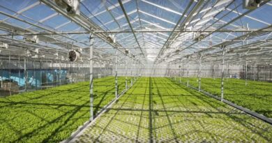 PowerGrow off-grid solar greenhouses natural resources